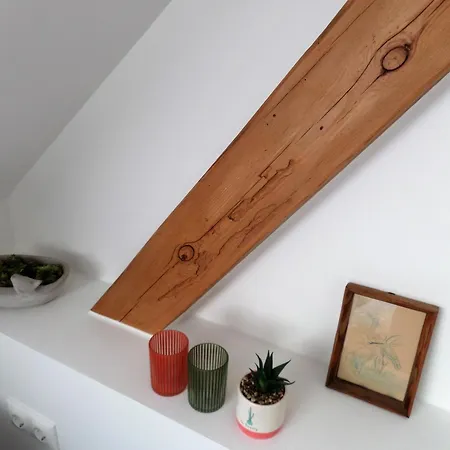 Feriehus Elbflair *