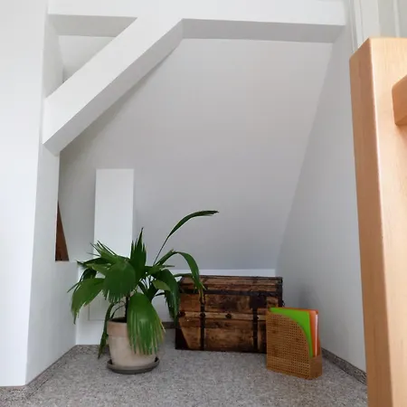 Feriehus Elbflair *